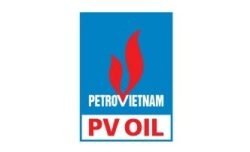 Công ty Cổ phần Xăng dầu dầu khí Thái Bình