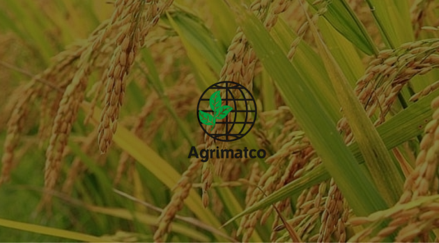 Công ty TNHH Agrimatco Việt Nam x FTS