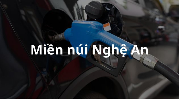 Công ty cổ phần thương mại Miền núi Nghệ An x FTS