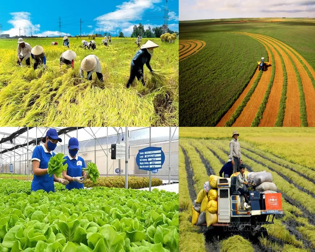 Nông nghiệp là 1 trong 8 lĩnh vực được ưu tiên thực hiện chuyển đổi số.