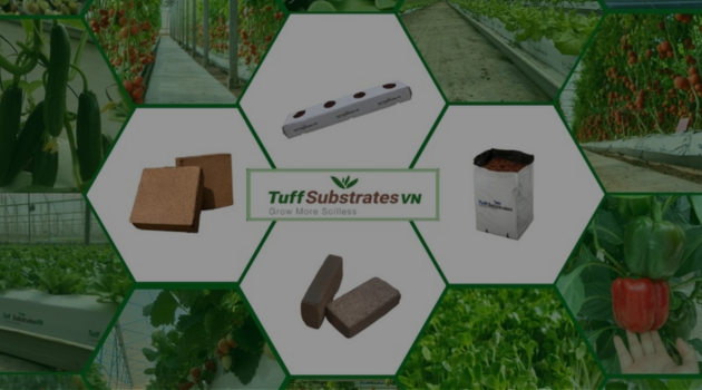 Công ty TNHH Tuff Việt Nam x FTS